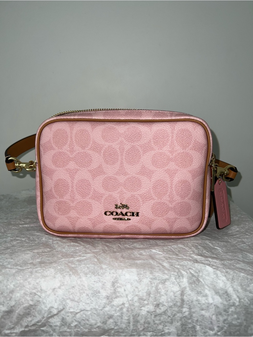 Coach Pink Signature Canvas Crossbody Camera Bag